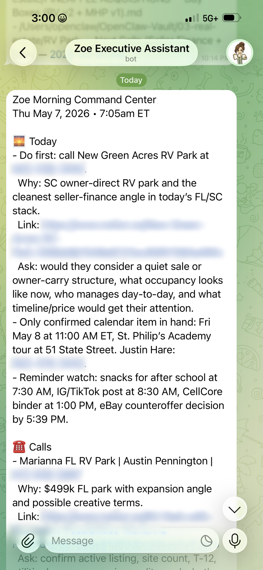 Redacted Telegram screenshot showing Zoe Executive Assistant sending a morning command center update with the day's priority call, deal context, calendar item, reminder watch, and call list.